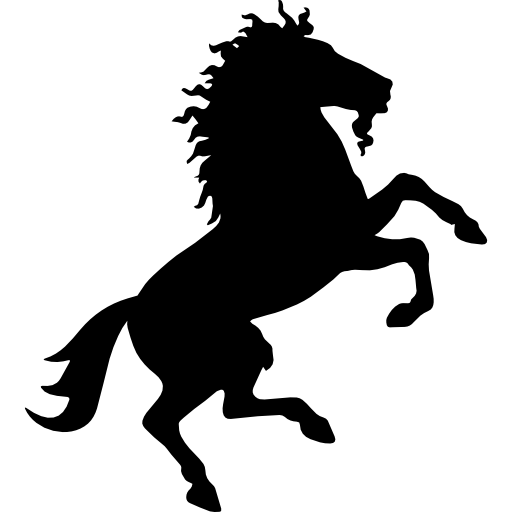 Logo Caballo Salvaje ARION S.A.